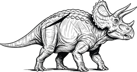 Black and white vector line art illustration of a triceratops dinosaur with three horns and neck frill for prehistoric nature and paleontology branding ( © MdHasmot