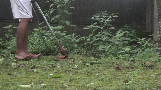 An Asian man is working on cutting weeds around the garden using a battery-powered grass trimmer. This activity is carried out so that weeds do not interfere with the growth of fruit trees and clean