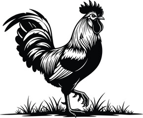 Black vector illustration of a majestic rooster standing on green grass for farm poultry agriculture livestock rural life country nature and organic branding © MstKalpona