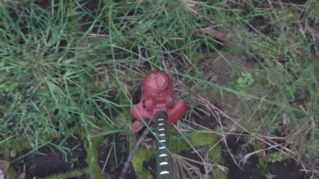 An Asian man is working on cutting weeds around the garden using a battery-powered grass trimmer. This activity is carried out so that weeds do not interfere with the growth of fruit trees and clean