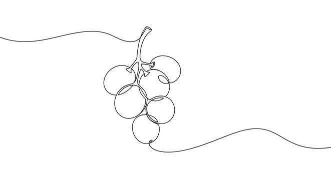 Single line drawing of a bunch of grapes on a vine