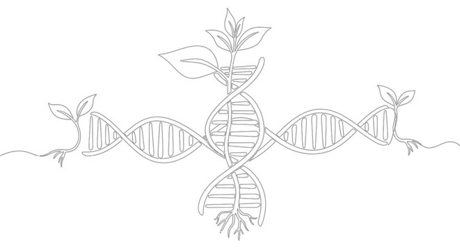 DNA helix with growing plants and roots, single line art, biotechnology concept