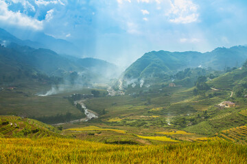 Fototapeta premium Rice fields on terraced in rainny season at Mu Cang Chai, Yen Bai, Vietnam. Rice fields prepare for transplant at Northwest Vietnam