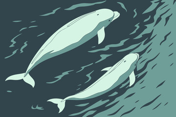 Naklejka premium Two pale beluga whales surfacing in dark tranquil ocean waters with stylized waves