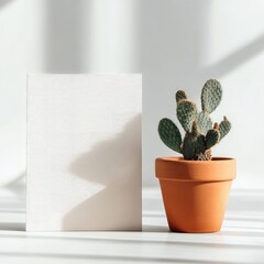 Minimalist composition featuring a blank card and a potted cactus