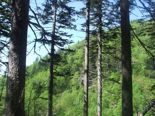 Fototapeta premium Mt.Nuka-dake in spring