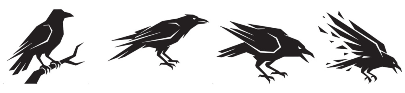 Silhouette of a crow in four different poses, from perched to flying and disintegrating.
