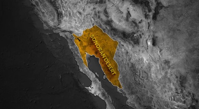 Satellite map animation highlighting the geographical location of the Sonoran Desert region
