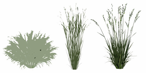 Three clumps of green grass and a blurred green shape © Barsha