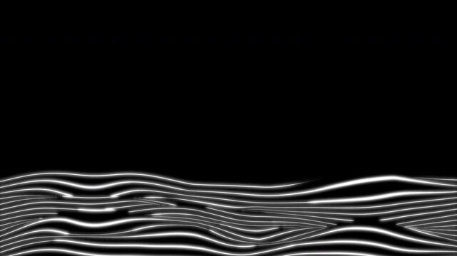 Wireframe white wave animation. Wireframe white wave form glowing parallel lines on a black abstract landscape ideal for technology backgrounds and digital design projects.