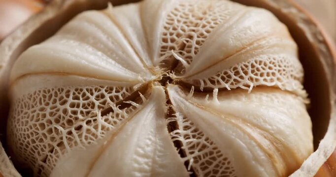 Close-up view of a unique garlic bulb showcasing intricate textures and natural patterns