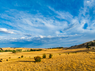Cloud‑Laced Skies at Golden Hour Over Farmland