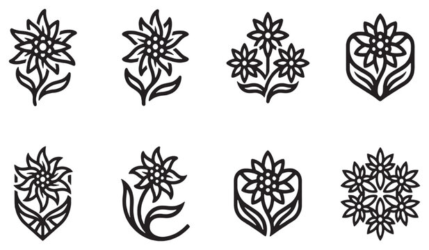 Collection of stylized edelweiss flower icons in black and white, representing nature and alpine symbols.