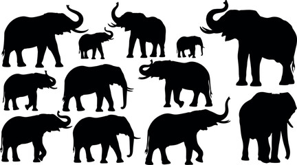 Collection of elephant silhouettes in various poses © GOKULRATAN