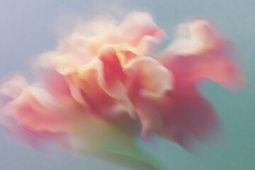 花, 背景素材, 抽象, ニュアンス, シック, テクスチャ, 植物, ボタニカル, 背景, 幻想的, エレガント, コピースペース, アンティーク, 綺麗, 柔らかい, 光, シャドウ, 質感, くすみカラー, モダン, デザイン素材, ラグジュアリー, 芸術的, 壁紙, インテリア, ブランディング, 広告素材, ミニマリズム, 洗練, 繊細, 儚い, 癒し, ウェディング, ライフスタイル,