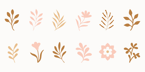 Fototapeta premium Collection of delicate botanical illustrations featuring various leafy branches and flowers