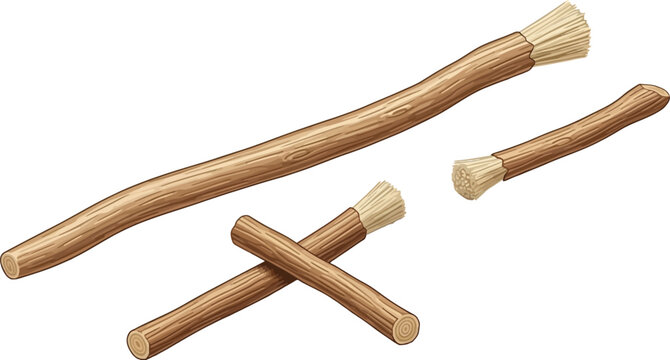 Miswak sticks provide a natural and traditional method of oral hygiene, often used as an alternative to modern toothbrushes.