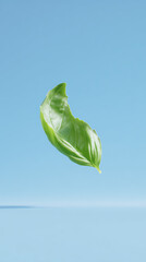 green leaf on blue sky background