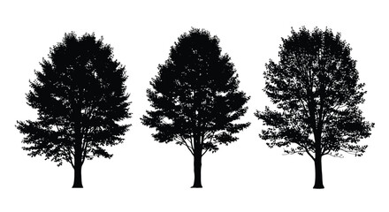 Fototapeta premium Silhouettes of three trees against a stark white background