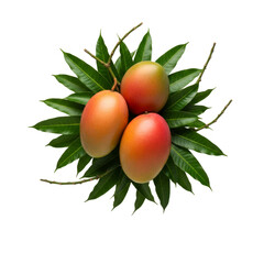 Floating Mango & Leaves, isolated on a transparent background