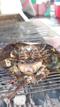 Vertical Close Up of Horseshoe Crab Grilling Over Hot Charcoal