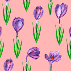 Fototapeta premium Seamless pattern with white crocuses on pink background, watercolor floral design suitable for wallpaper, cards or fabric.