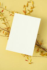 작은 잎 식물과 카드 목업