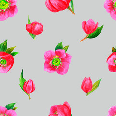 Seamless pattern with pink hellebores on grey background, watercolor floral pattern suitable for wallpaper, cards or fabric.