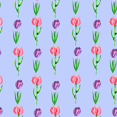 Fototapeta premium A seamless watercolor pattern with spring flowers: tulips and crocuses on a blue background. A lovely palette of pink, blue, and purple shades for decor, fabric, and wallpaper.