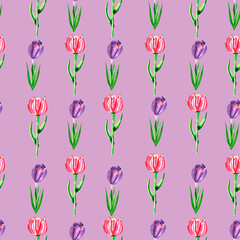 Obraz premium Watercolor seamless pattern with spring flowers tulips and seamlessly, crocus, springes on lilac background. Cute palette of pink, blue and purple for decor, fabric, wallpaper