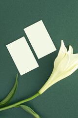 백합과 명함 목업