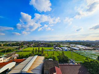 푸른 들판의 풍경