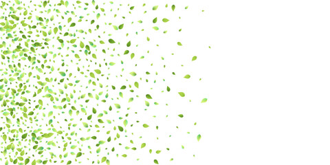 Leaves Green Falling. Spring Flying Foliage. Chaotic Leaf On White Background. Ecology Design, Nature Elements. Spring Sale Vector Illustration. Greenery Environment Backdrop. © Сашка Шаргаева