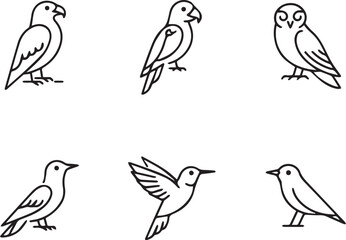 Set of line art birds isolated on white background, minimal avian outline collection, thin line flying, perching, and standing bird icons, clean monochrome nature design