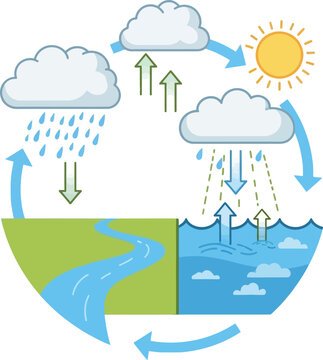 Water Cycle Diagram&ndash; Evaporation, Condensation, Precipitation and Collection Process