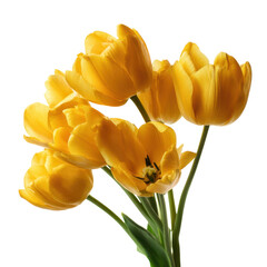 Obraz premium A bouquet of vibrant yellow tulips against a dark background