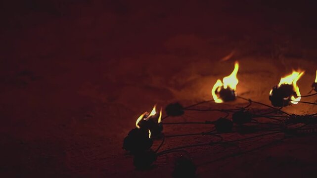 Fire show. Fire fan. Fan. Flame. Fire burning. Slow motion video. High quality 4k footage