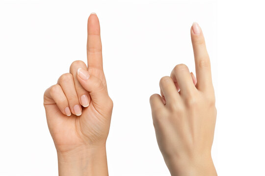 Female hand with raised index finger on white background