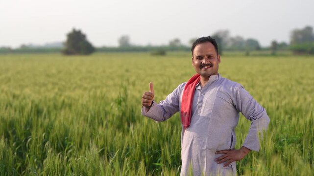 young indian farmer standing at green wheat field showing thumbs up