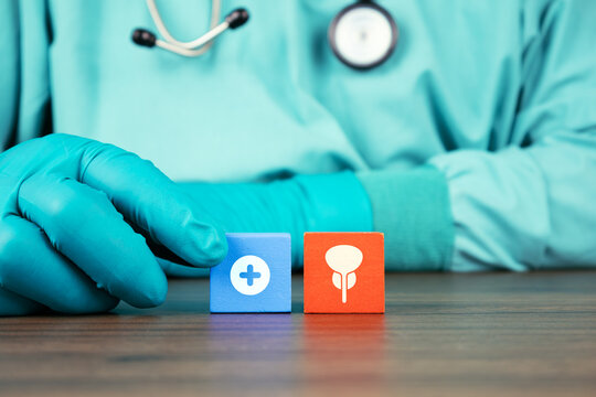 Concept of comprehensive prostate health, clinical screening, and awareness of prostate cancer symptoms. The urologist's hand arranges wooden cubes with the prostate and bladder icon.