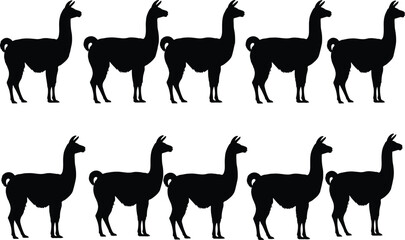 Llama silhouettes set, alpaca farm animal icons collection isolated on white background, black livestock vector illustration design © Sakib World