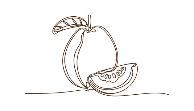 One continuous line illustration of an Guava fruits, isolated on white background.