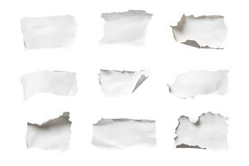 Set of torn paper pieces with curled and rough edges, isolated on transparent cutout background