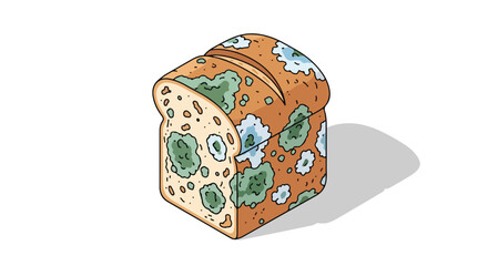 A slice of bread with visible mold on it, set against a clean white background with a subtle shadow, conveying a sense of decay and neglect in a still-life composition.