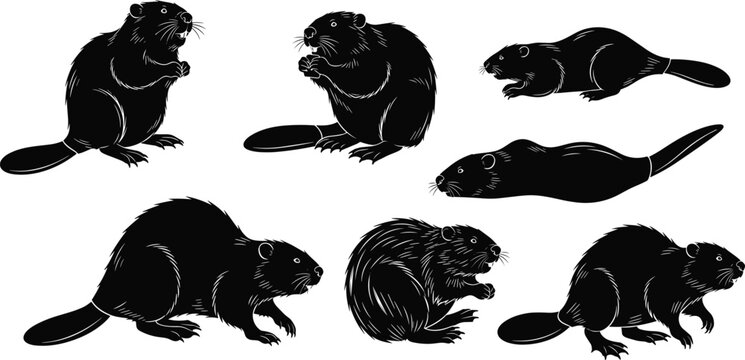 Black beaver silhouette collection detailed wildlife rodent illustrations isolated on white background vintage engraving style animal set