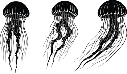 Set of jellyfish silhouettes cad drawing flat vector illustration with various ocean medusa sea life and underwater marine animal elements © Hello World