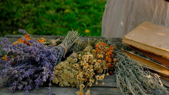 Woman with dried medicinal herbs. Selective focus. Nature.