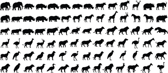 Animal silhouettes, elephants rhinoceroses deer ostriches birds quadrupeds in black vector design, wildlife illustration collection for education and classification © Mozibur
