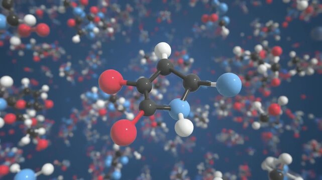 "3D molecular model showing atoms as colored spheres connected by rods to represent chemical bonds. Central molecule includes black (carbon), red (oxygen), white (hydrogen), and blue (nitrogen) atoms,