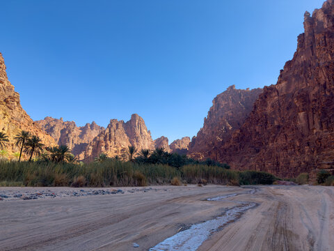 Landscape of Wadi Al-Disah, Sandstone Canyon Oasis, Tabuk Province, Northwest Saudi Arabia
